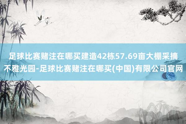 足球比赛赌注在哪买建造42栋57.69亩大棚采摘不雅光园-足球比赛赌注在哪买(中国)有限公司官网
