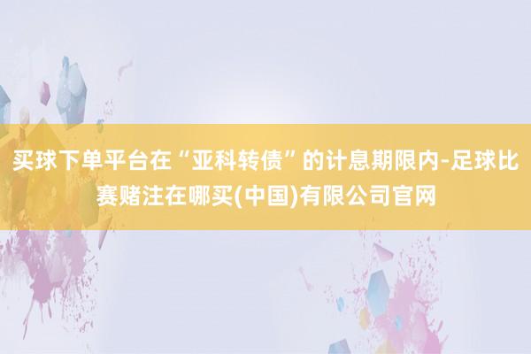买球下单平台在“亚科转债”的计息期限内-足球比赛赌注在哪买(中国)有限公司官网