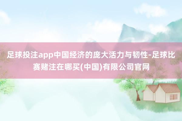 足球投注app中国经济的庞大活力与韧性-足球比赛赌注在哪买(中国)有限公司官网