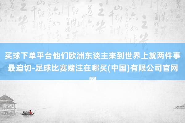 买球下单平台他们欧洲东谈主来到世界上就两件事最迫切-足球比赛赌注在哪买(中国)有限公司官网