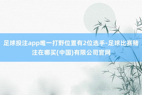 足球投注app唯一打野位置有2位选手-足球比赛赌注在哪买(中国)有限公司官网