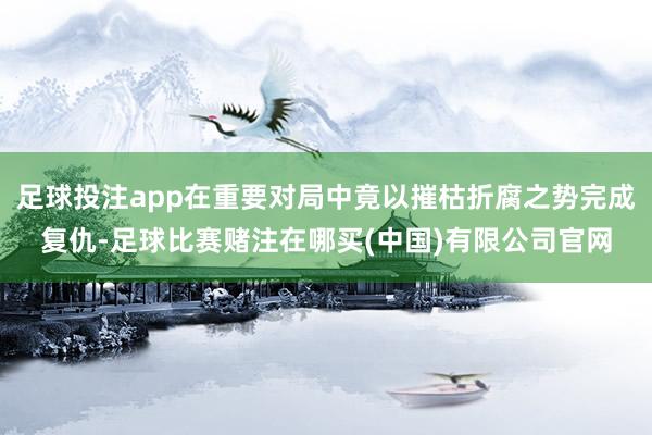 足球投注app在重要对局中竟以摧枯折腐之势完成复仇-足球比赛赌注在哪买(中国)有限公司官网