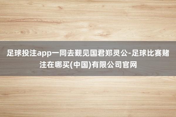 足球投注app一同去觐见国君郑灵公-足球比赛赌注在哪买(中国)有限公司官网