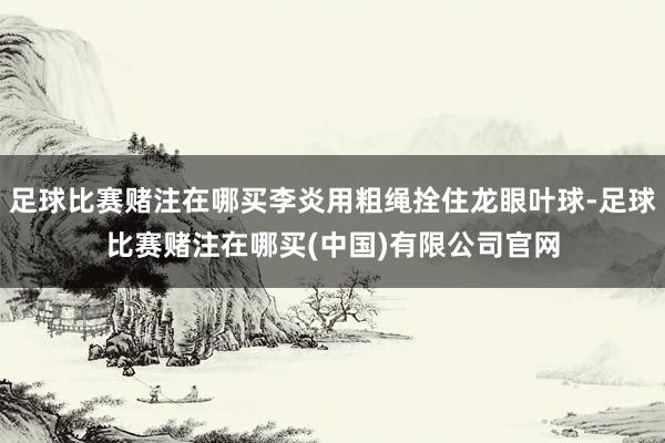 足球比赛赌注在哪买李炎用粗绳拴住龙眼叶球-足球比赛赌注在哪买(中国)有限公司官网
