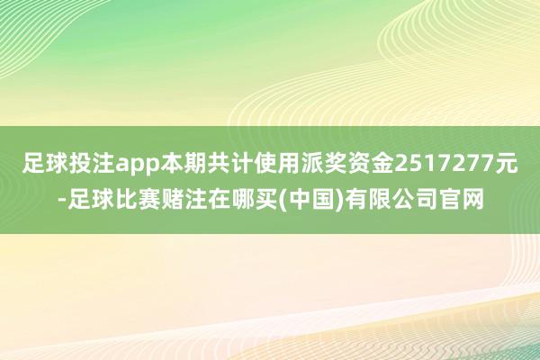 足球投注app本期共计使用派奖资金2517277元-足球比赛赌注在哪买(中国)有限公司官网