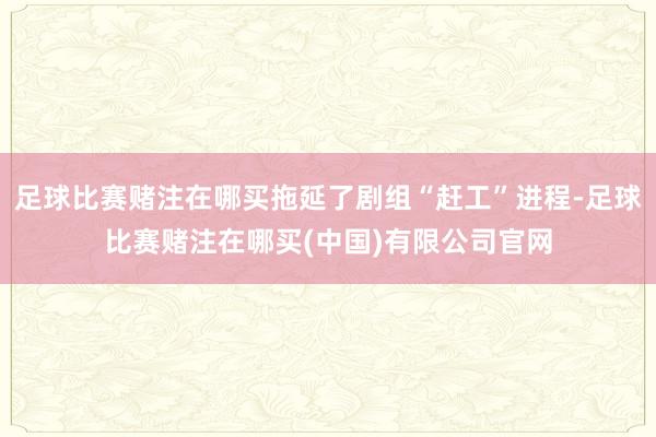 足球比赛赌注在哪买拖延了剧组“赶工”进程-足球比赛赌注在哪买(中国)有限公司官网