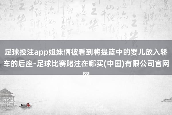 足球投注app姐妹俩被看到将提篮中的婴儿放入轿车的后座-足球比赛赌注在哪买(中国)有限公司官网