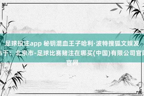 足球投注app 秘钥混血王子哈利·波特搜狐文娱发布于：北京市-足球比赛赌注在哪买(中国)有限公司官网