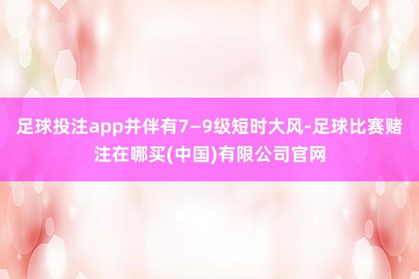 足球投注app并伴有7—9级短时大风-足球比赛赌注在哪买(中国)有限公司官网