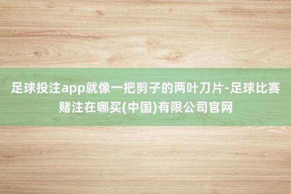 足球投注app就像一把剪子的两叶刀片-足球比赛赌注在哪买(中国)有限公司官网