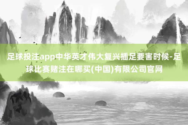 足球投注app中华英才伟大复兴插足要害时候-足球比赛赌注在哪买(中国)有限公司官网