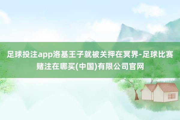 足球投注app洛基王子就被关押在冥界-足球比赛赌注在哪买(中国)有限公司官网