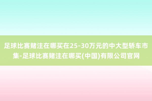 足球比赛赌注在哪买在25-30万元的中大型轿车市集-足球比赛赌注在哪买(中国)有限公司官网