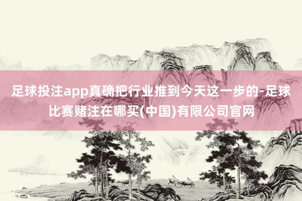 足球投注app真确把行业推到今天这一步的-足球比赛赌注在哪买(中国)有限公司官网