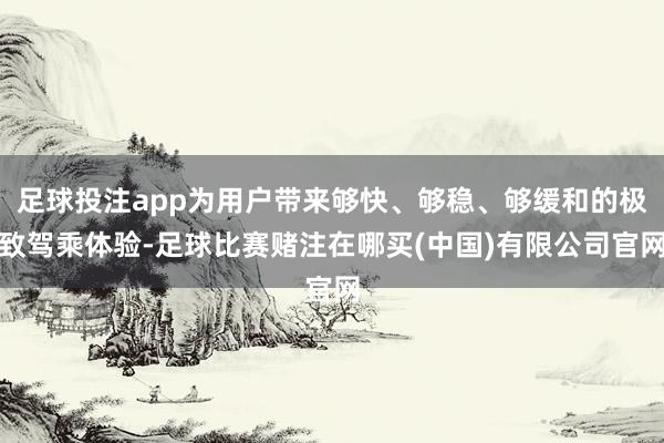 足球投注app为用户带来够快、够稳、够缓和的极致驾乘体验-足球比赛赌注在哪买(中国)有限公司官网