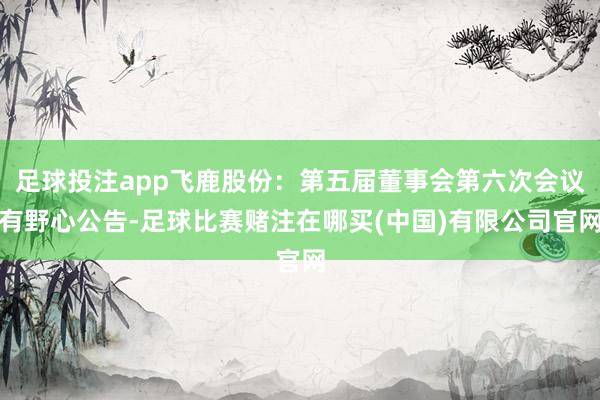 足球投注app飞鹿股份：第五届董事会第六次会议有野心公告-足球比赛赌注在哪买(中国)有限公司官网
