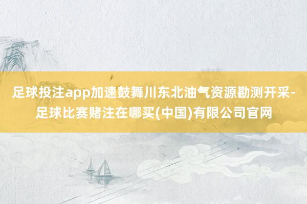 足球投注app加速鼓舞川东北油气资源勘测开采-足球比赛赌注在哪买(中国)有限公司官网