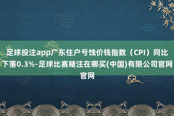 足球投注app广东住户亏蚀价钱指数（CPI）同比下落0.3%-足球比赛赌注在哪买(中国)有限公司官网