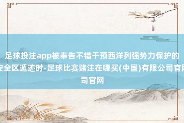 足球投注app被奉告不错干预西洋列强势力保护的安全区遁迹时-足球比赛赌注在哪买(中国)有限公司官网