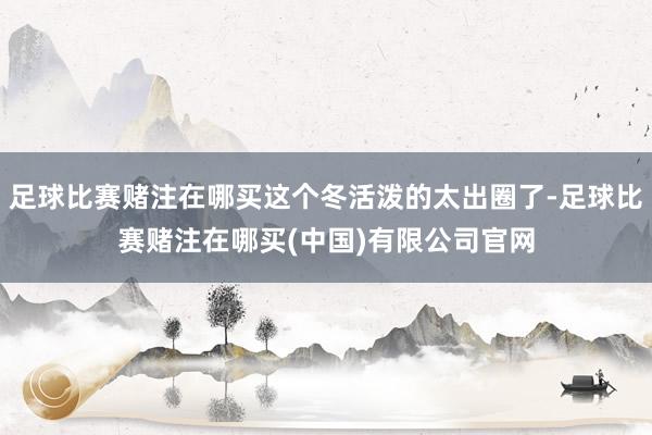足球比赛赌注在哪买这个冬活泼的太出圈了-足球比赛赌注在哪买(中国)有限公司官网