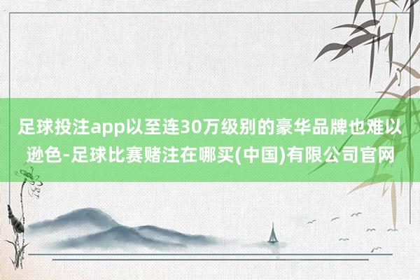足球投注app以至连30万级别的豪华品牌也难以逊色-足球比赛赌注在哪买(中国)有限公司官网