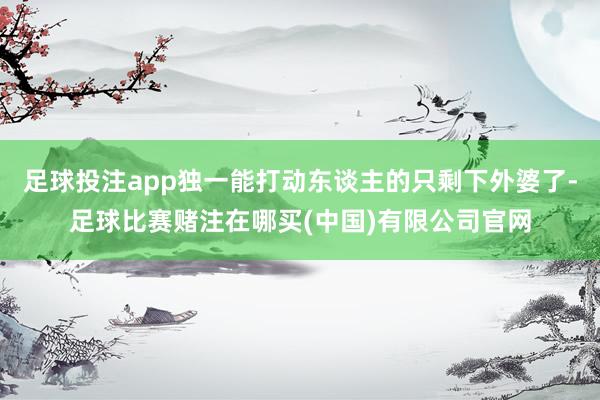 足球投注app独一能打动东谈主的只剩下外婆了-足球比赛赌注在哪买(中国)有限公司官网