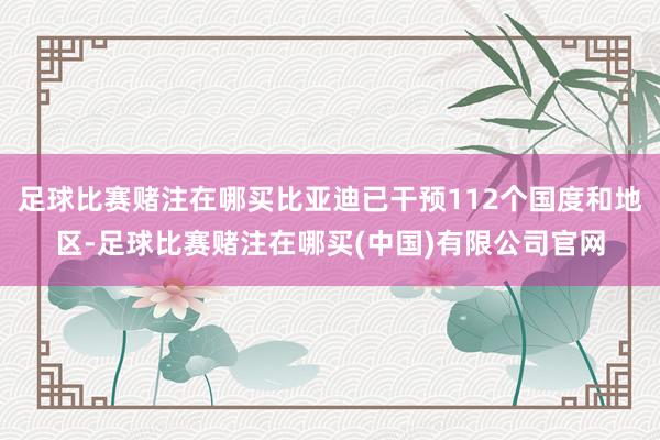 足球比赛赌注在哪买比亚迪已干预112个国度和地区-足球比赛赌注在哪买(中国)有限公司官网