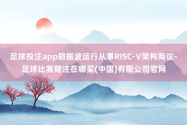 足球投注app胡振波运行从事RISC-V架构商议-足球比赛赌注在哪买(中国)有限公司官网