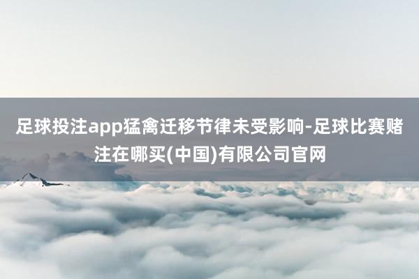 足球投注app猛禽迁移节律未受影响-足球比赛赌注在哪买(中国)有限公司官网