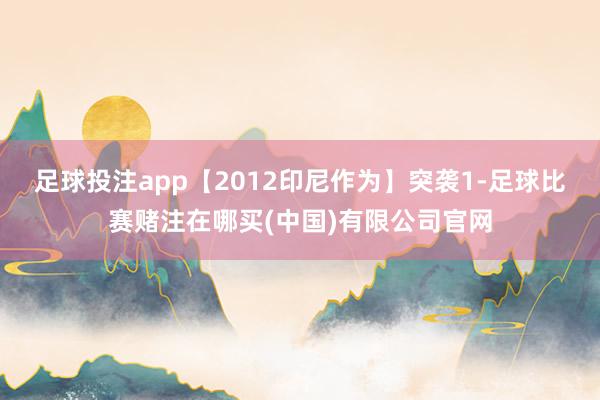 足球投注app【2012印尼作为】突袭1-足球比赛赌注在哪买(中国)有限公司官网
