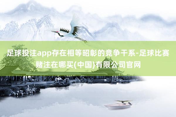 足球投注app存在相等昭彰的竞争干系-足球比赛赌注在哪买(中国)有限公司官网