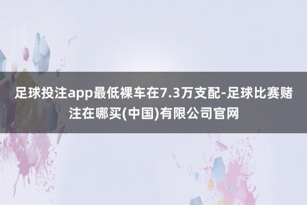 足球投注app最低裸车在7.3万支配-足球比赛赌注在哪买(中国)有限公司官网