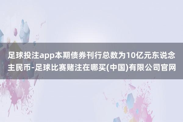 足球投注app本期债券刊行总数为10亿元东说念主民币-足球比赛赌注在哪买(中国)有限公司官网