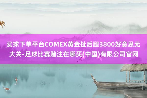 买球下单平台COMEX黄金扯后腿3800好意思元大关-足球比赛赌注在哪买(中国)有限公司官网