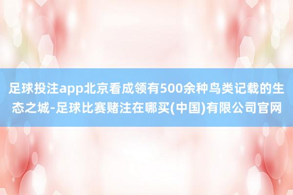 足球投注app北京看成领有500余种鸟类记载的生态之城-足球比赛赌注在哪买(中国)有限公司官网