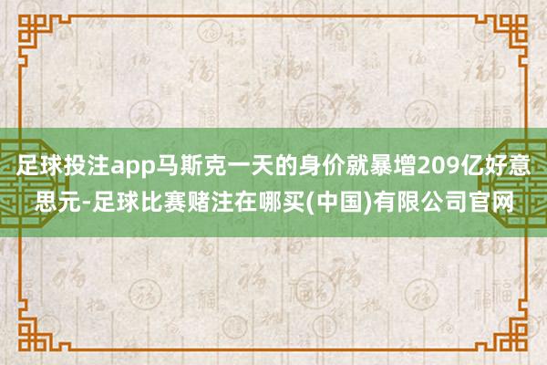 足球投注app马斯克一天的身价就暴增209亿好意思元-足球比赛赌注在哪买(中国)有限公司官网