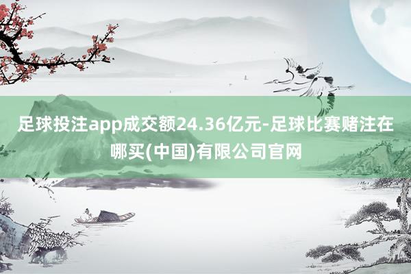 足球投注app成交额24.36亿元-足球比赛赌注在哪买(中国)有限公司官网