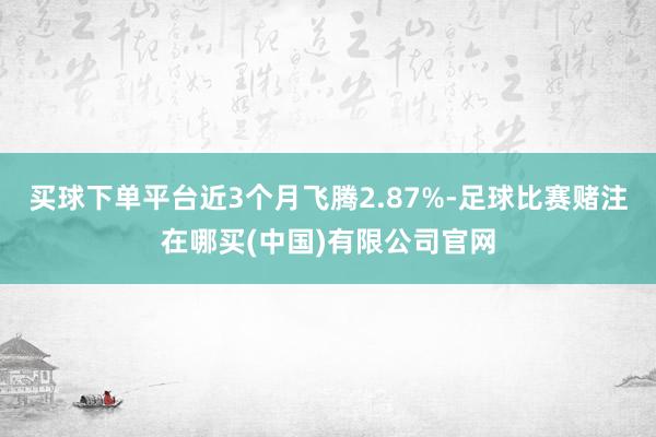 买球下单平台近3个月飞腾2.87%-足球比赛赌注在哪买(中国)有限公司官网