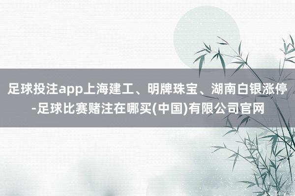 足球投注app上海建工、明牌珠宝、湖南白银涨停-足球比赛赌注在哪买(中国)有限公司官网