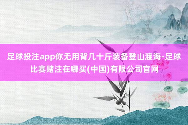足球投注app你无用背几十斤装备登山渡海-足球比赛赌注在哪买(中国)有限公司官网