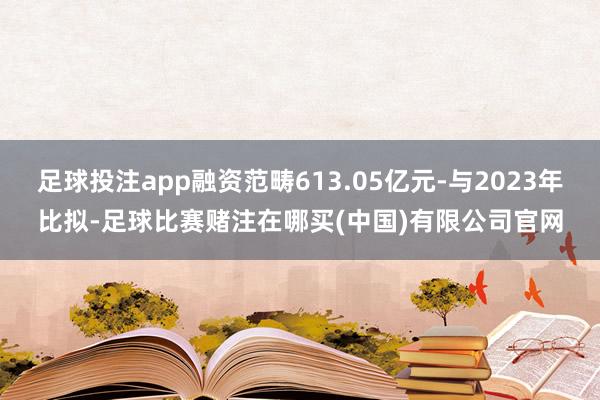 足球投注app融资范畴613.05亿元-与2023年比拟-足球比赛赌注在哪买(中国)有限公司官网