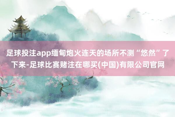 足球投注app缅甸炮火连天的场所不测“悠然”了下来-足球比赛赌注在哪买(中国)有限公司官网
