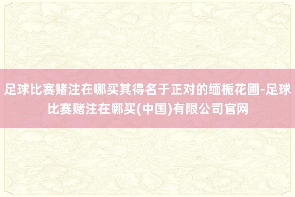 足球比赛赌注在哪买其得名于正对的缅栀花圃-足球比赛赌注在哪买(中国)有限公司官网