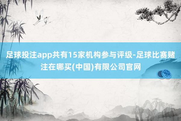 足球投注app共有15家机构参与评级-足球比赛赌注在哪买(中国)有限公司官网