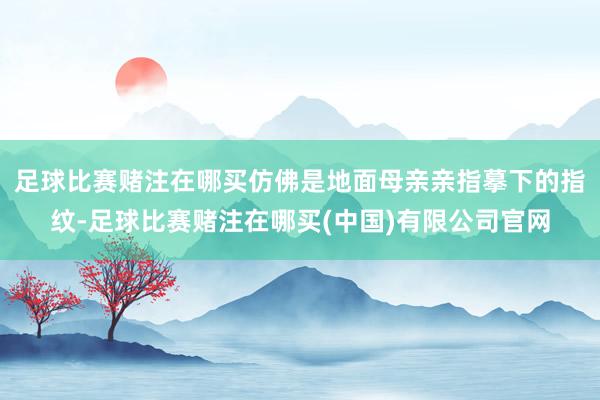 足球比赛赌注在哪买仿佛是地面母亲亲指摹下的指纹-足球比赛赌注在哪买(中国)有限公司官网