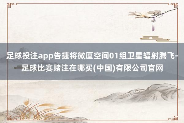 足球投注app告捷将微厘空间01组卫星辐射腾飞-足球比赛赌注在哪买(中国)有限公司官网
