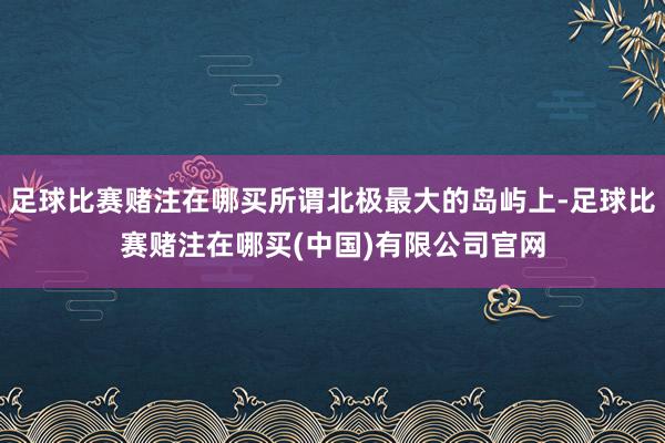 足球比赛赌注在哪买所谓北极最大的岛屿上-足球比赛赌注在哪买(中国)有限公司官网