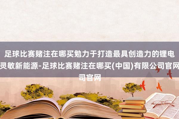 足球比赛赌注在哪买勉力于打造最具创造力的锂电灵敏新能源-足球比赛赌注在哪买(中国)有限公司官网