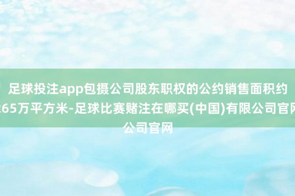 足球投注app包摄公司股东职权的公约销售面积约265万平方米-足球比赛赌注在哪买(中国)有限公司官网