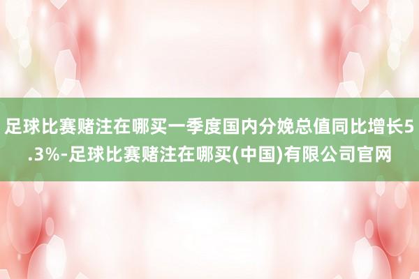 足球比赛赌注在哪买一季度国内分娩总值同比增长5.3%-足球比赛赌注在哪买(中国)有限公司官网